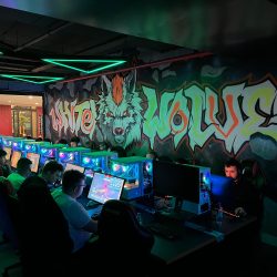 Davutpaşa Mahallesi İnternet Kafe